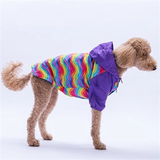 PawStar Rio Rainbow Büyük Irk Yağmurluk
