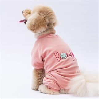 PawStar Rose Angers Tulum Küçük ve Orta Irk
