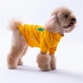 PawStar Sarı Cactus Kaşkorse Sweat