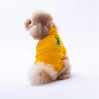 PawStar Sarı Cactus Kaşkorse Sweat