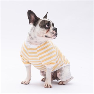 PawStar Sarı Eeyore Küçük Irk Sweat