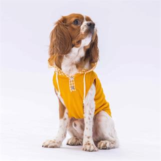 PawStar Yellow Gingham Hooded Polo T-Shirt