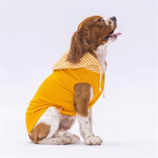 PawStar Yellow Gingham Hooded Polo T-Shirt
