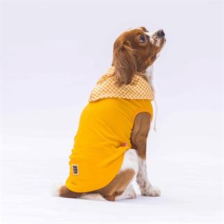 PawStar Yellow Gingham Hooded Polo T-Shirt