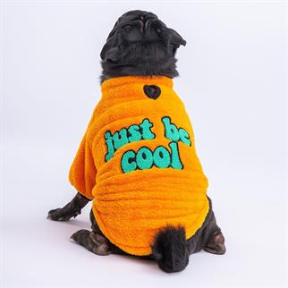 PawStar Sarı Just Be Cool Küçük ve Orta Irk Sweat
