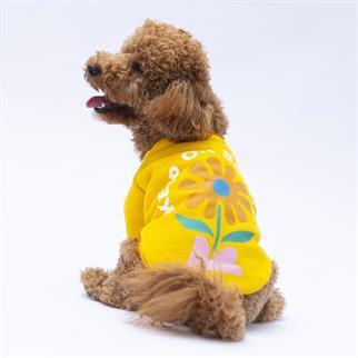 PawStar Sarı Lahti Sweat Küçük ve Orta Irk