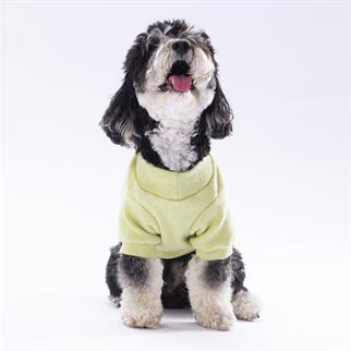 PawStar 24725 Sarı Merino Sweat Küçük ve Orta Irk
