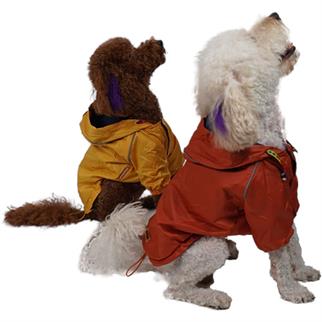 PawStar Sarı Pluvia Küçük ve Orta Irk Yağmurluk