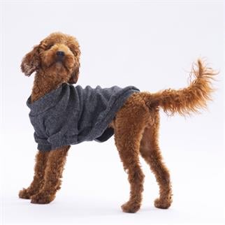 PawStar Siyah Merino Sweat Küçük ve Orta Irk