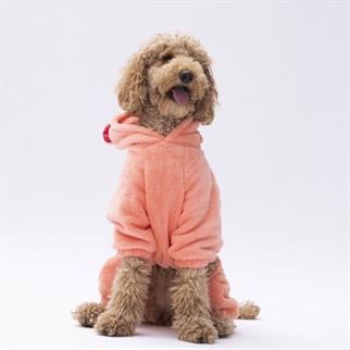 PawStar Somon Koala Büyük Irk Tulum