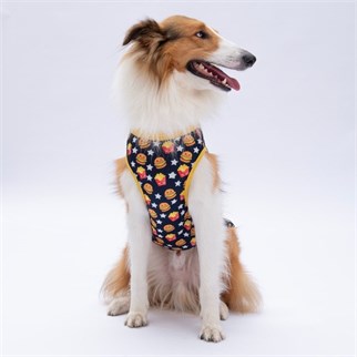 PawStar Star Hamburger T-Shirt Büyük Irk