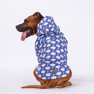 PawStar Tonitruum Large Breed Raincoat