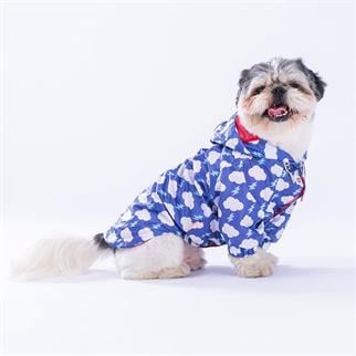 PawStar Tonitruum Raincoat Small and Medium Breeds