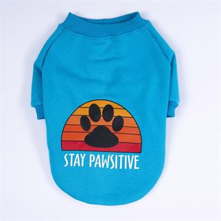 PawStar Turkuaz Carmel Büyük Irk Sweat