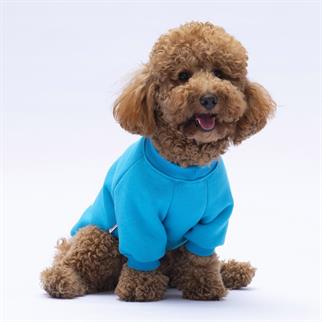 PawStar Turkuaz Carmel Sweat Küçük ve Orta Irk
