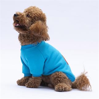 PawStar Turkuaz Carmel Sweat Küçük ve Orta Irk
