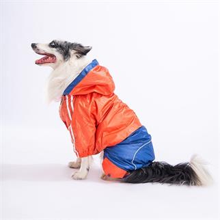 PawStar Turuncu - Lacivert BiColar  Büyük Irk Yağmurluk