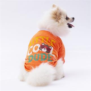 PawStar Turuncu Dude Küçük Irk Sweat
