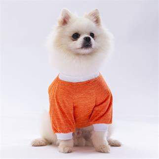 PawStar Turuncu Dude Küçük Irk Sweat