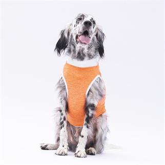 PawStar Turuncu Joy Büyük Irk T-Shirt