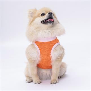PawStar Turuncu Joy T-Shirt