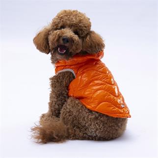 PawStar Turuncu Light Wave Yelek Küçük ve Orta Irk
