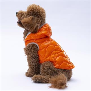 PawStar Turuncu Light Wave Yelek Küçük ve Orta Irk