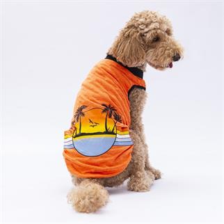 PawStar Turuncu Sunrise Büyük Irk T-Shirt