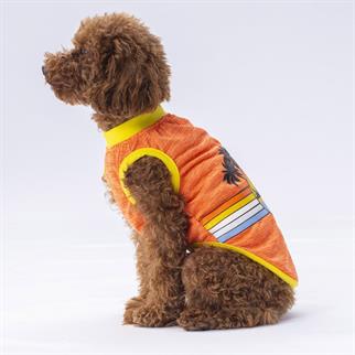 PawStar Turuncu Sunrise T-Shirt