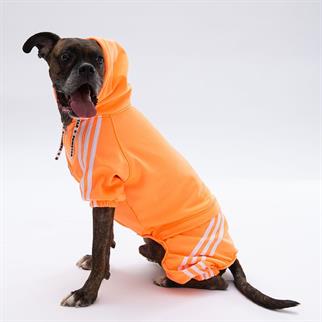 PawStar Orange Tuta Large Breed Overalls