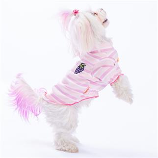 PawStar Uva Small and Medium Breed Sweat