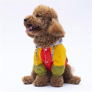 PawStar Vivid Kauai Yağmurluk Küçük ve Orta Irk