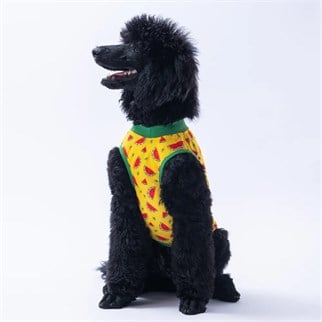 PawStar Watermelon  T-Shirt Büyük Irk