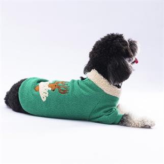 PawStar Yeşil Alaska Sweat Küçük ve Orta Irk