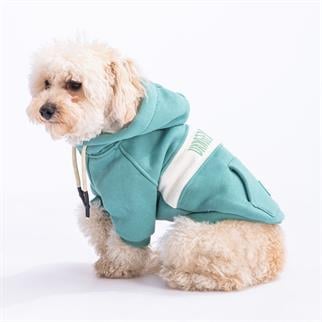 PawStar Yeşil Cute Hoodie Küçük ve Orta Irk