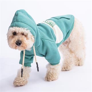 PawStar Yeşil Cute Hoodie Küçük ve Orta Irk