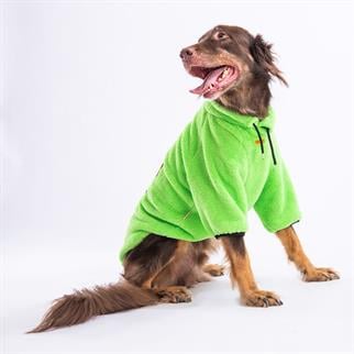 PawStar Yeşil Just Be Cool Büyük Irk Sweat