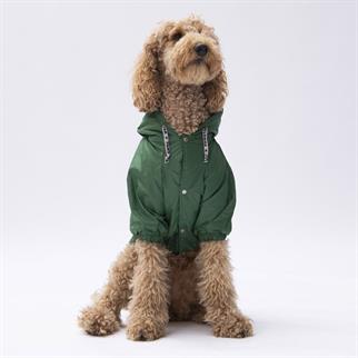 PawStar Yeşil Pluvia Büyük Irk Yağmurluk