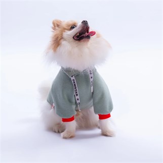 PawStar Yeşil Seattle Storm Sweat