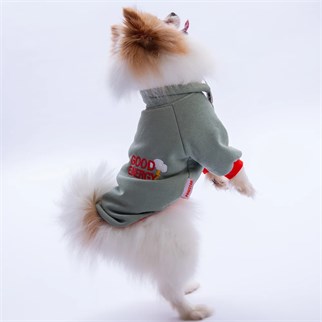PawStar Yeşil Seattle Storm Sweat