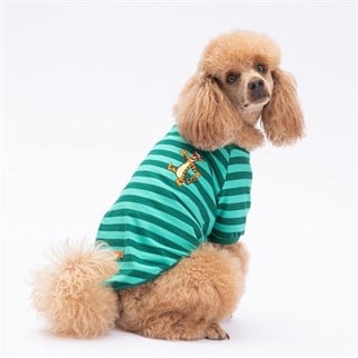 PawStar Yeşil Tigger Küçük Irk Sweat