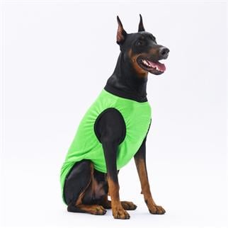 PawStar Yeşil Travel Büyük Irk T-Shirt