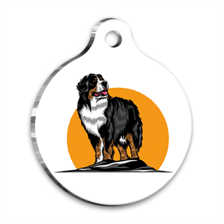 PetTagArt QR-ECS107-M QR Tag Smart ID Akıllı Kimlik