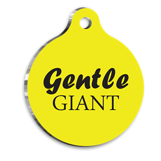PetTagArt QR-GY0019-M QR Tag Smart ID Akıllı Kimlik