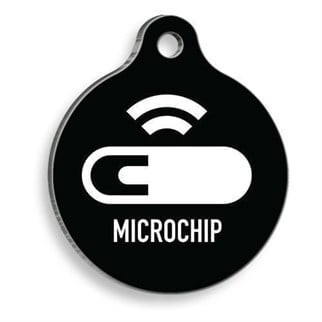 PetTagArt QR-LD00215-M QR Tag Smart ID Akıllı Kimlik