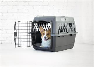 Petmate Pet Porter Köpek Taşıma Kafesi No:4 (72x52x55cm)