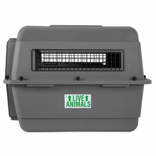 Petmate Sky Kennel Taşıma Kafesi No:4 (72 x 52 x 55cm)