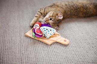 Quirky Kitty Charcuterie Board Kedi Oyun Matı