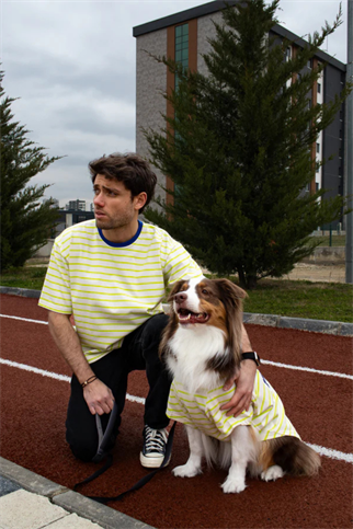 Asky&Erd AskyxHuman | Slow Mornings Club Stripe T-Shirt | Citrus Lime