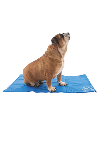 M-Pets Frozen Köpek Serinletici Mat